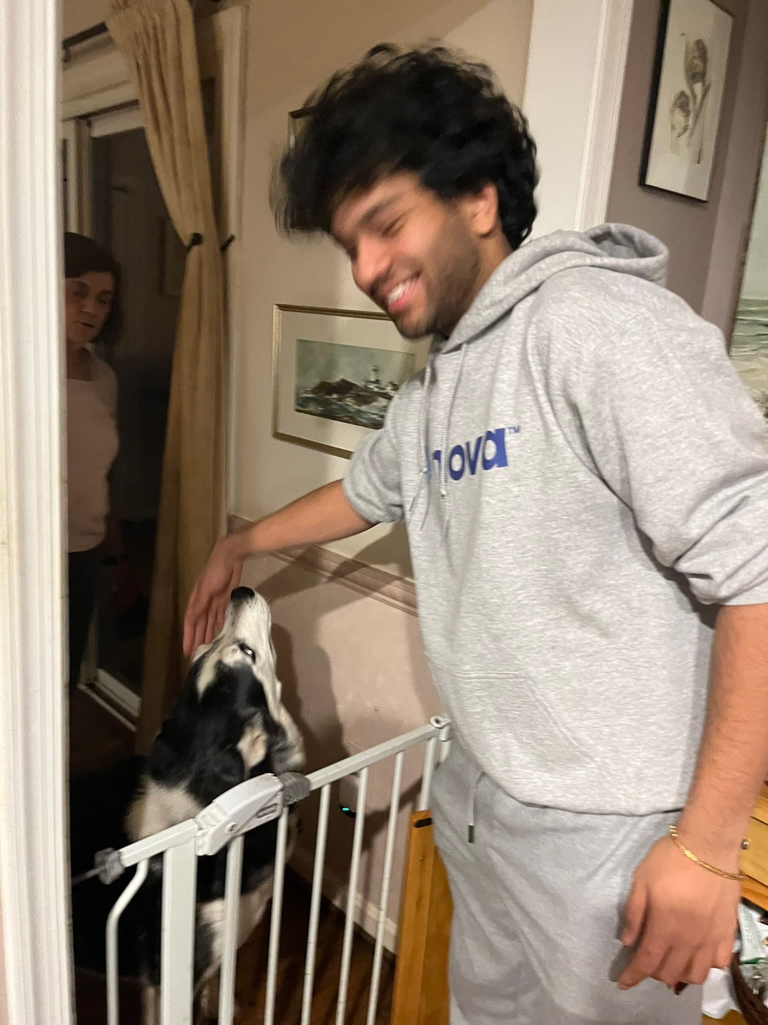 Someone leaning over a white stair gate to fuss a black and white spaniel, which has its head tipped up to meet the hand
