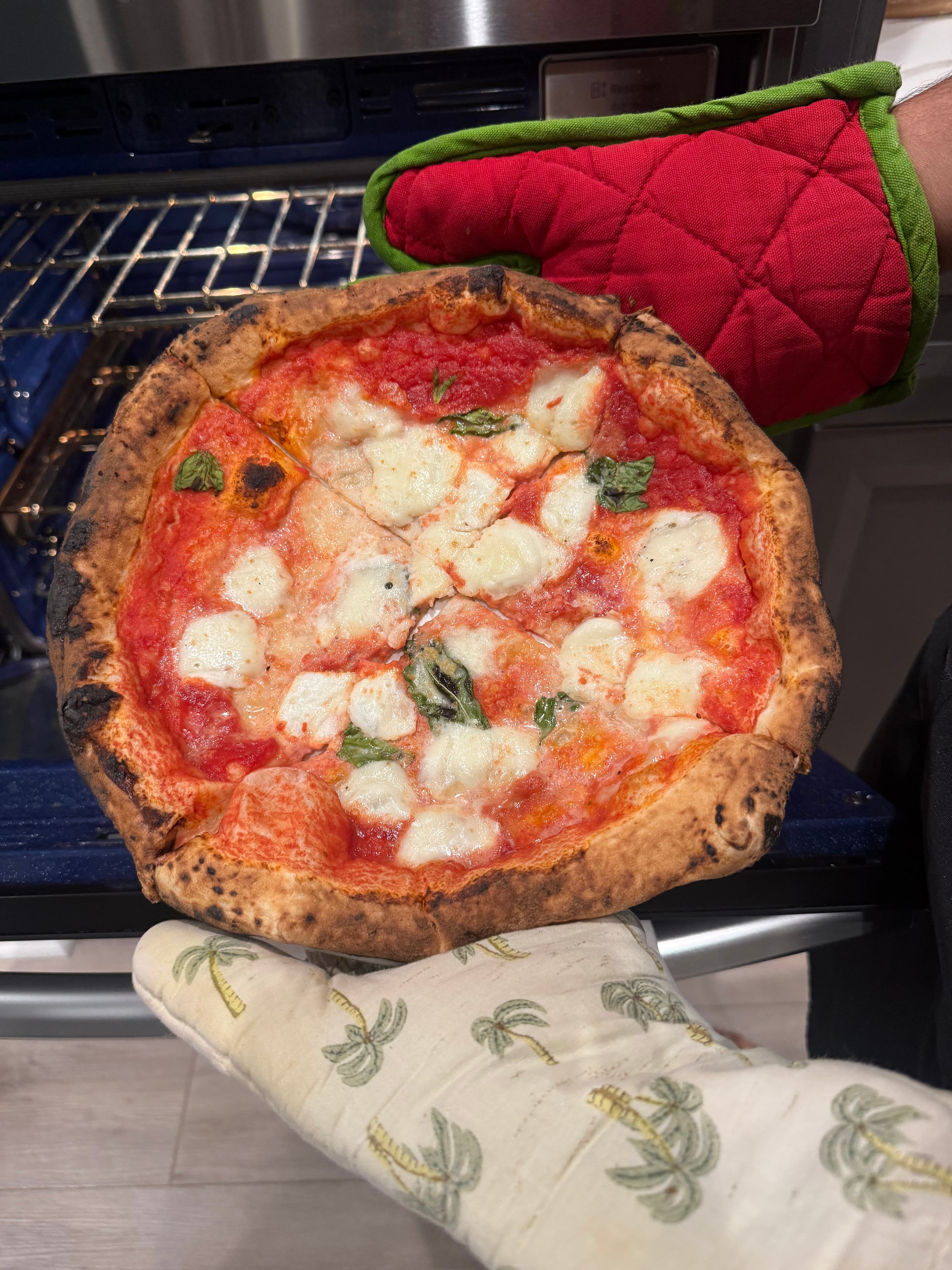 A margherita pizza with a blistered, leopard-spotted crust held between two oven mitts